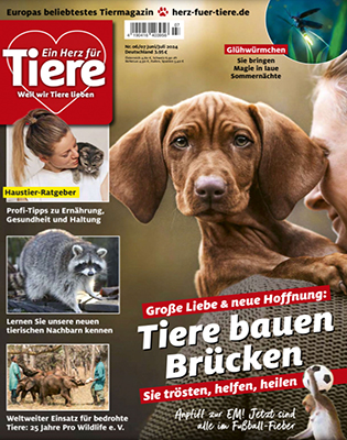 Hunde Tiere Magazine Zeitungen Lesen Tipps (3)