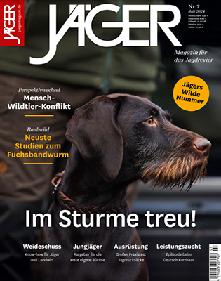 Hunde Tiere Magazine Zeitungen Lesen Tipps (4)