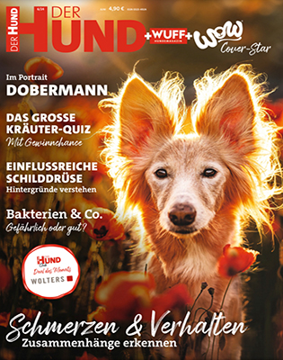 Hunde Tiere Magazine Zeitungen Lesen Tipps (6)